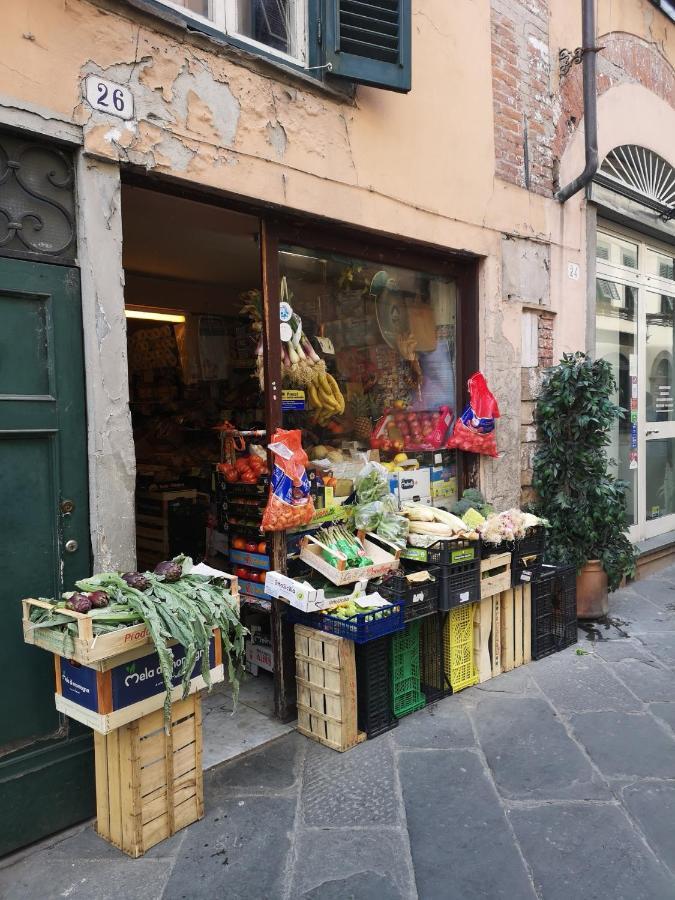 La Chiocciolina Apartment Lucca Exterior photo
